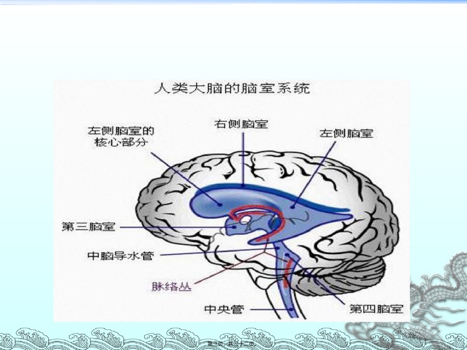 2022年医学专题—侧脑室穿刺术.ppt_第3页