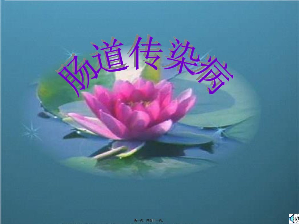 2022年医学专题—肠道传染病-hz.ppt_第1页