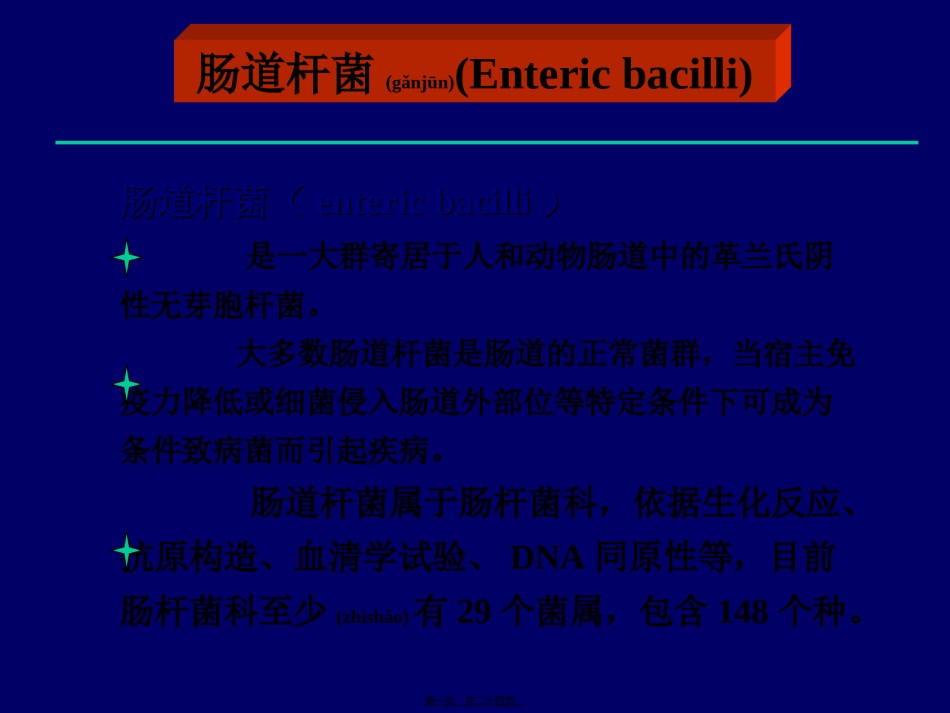 2022年医学专题—肠道杆菌-(2).ppt_第1页
