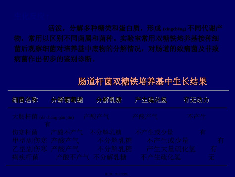 2022年医学专题—肠道杆菌-(2).ppt_第3页