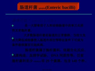 2022年医学专题—肠道杆菌-(2).ppt