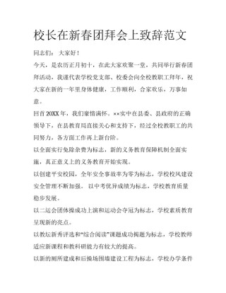 校长在新春团拜会上致辞范文