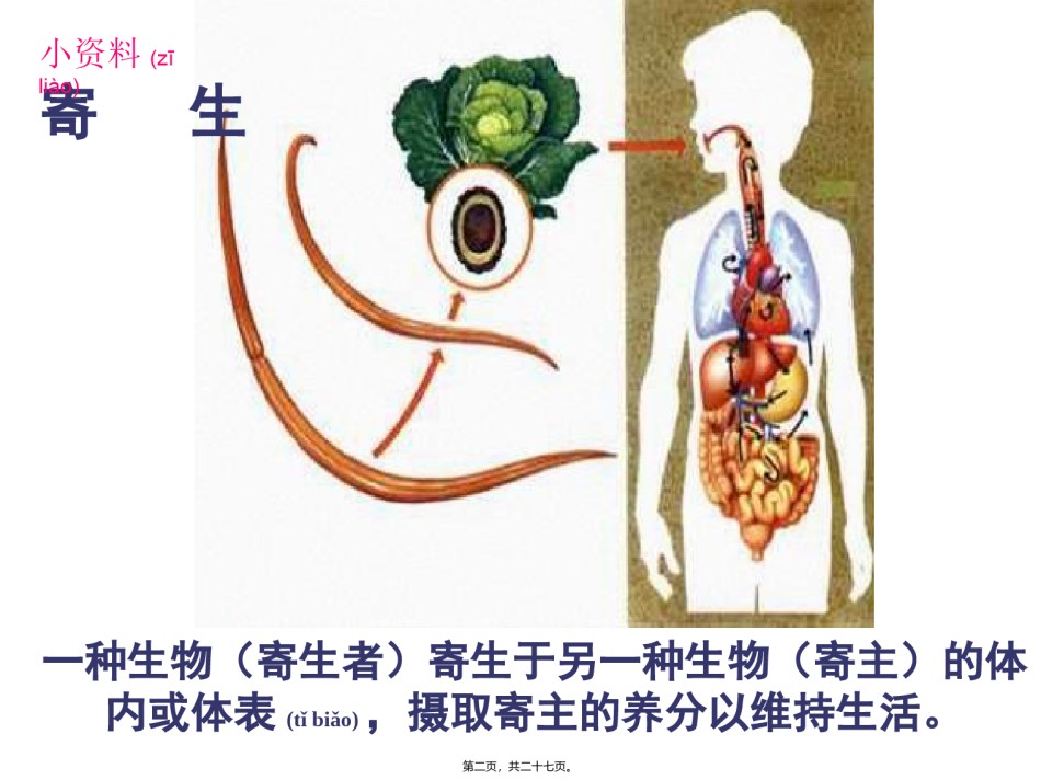 2022年医学专题—肠道寄生虫病.ppt_第2页