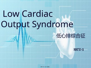 2022年医学专题—查房-低心排.pptx