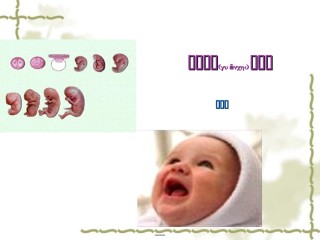 2022年医学专题—产程观察与处理.ppt