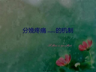 2022年医学专题—产程疼痛机制.pptx