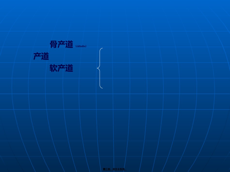 2022年医学专题—产道异常(第7版).ppt_第2页