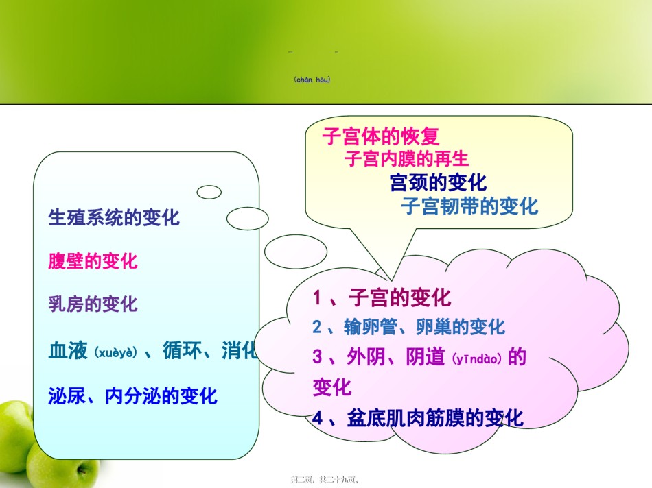 2022年医学专题—产后母体的变化和恢复.ppt_第2页