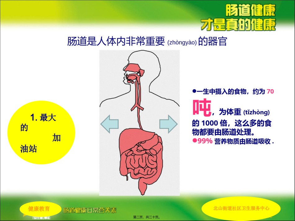 2022年医学专题—肠道健康科普讲稿.ppt_第2页