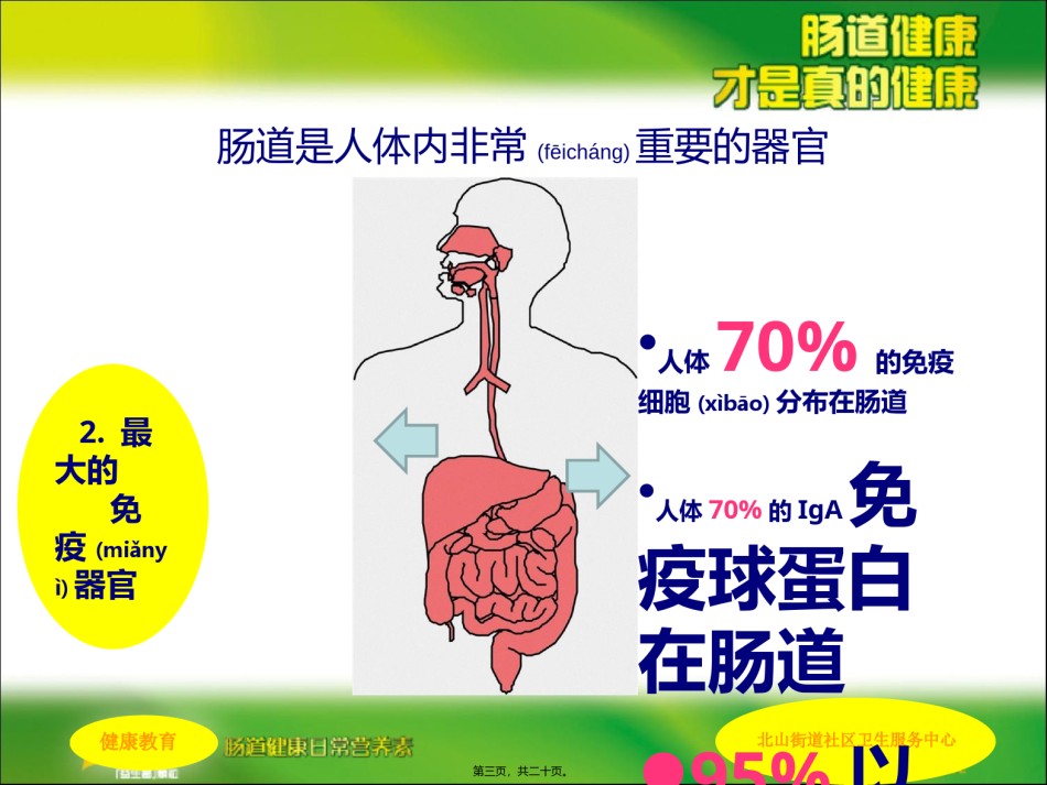 2022年医学专题—肠道健康科普讲稿.ppt_第3页