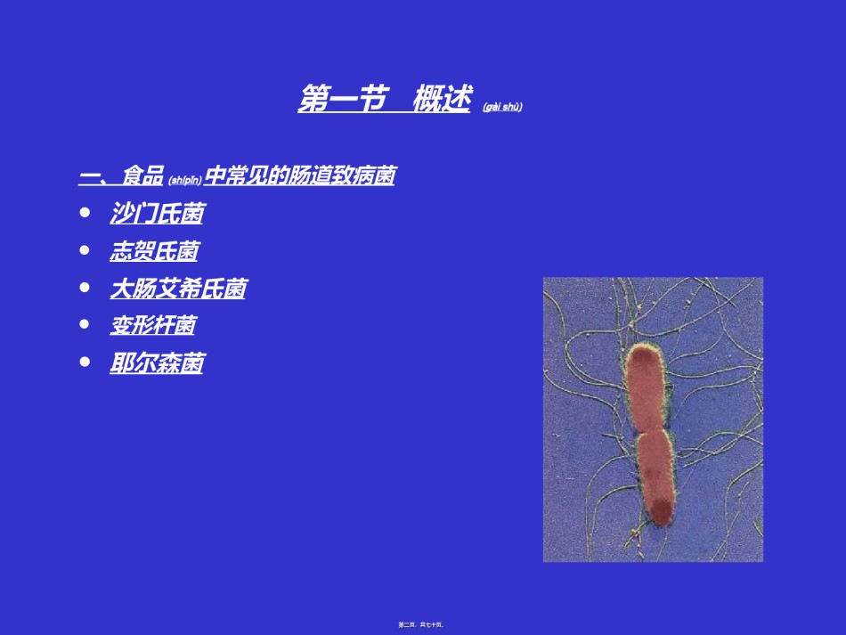 2022年医学专题—肠道致病菌检验简述.ppt_第2页