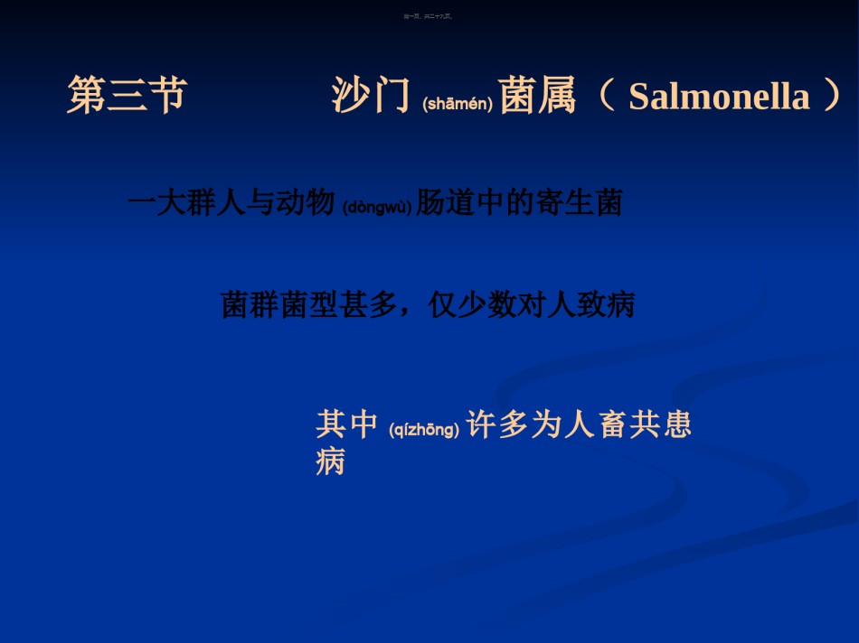2022年医学专题—肠杆菌科(沙门菌属).ppt_第1页