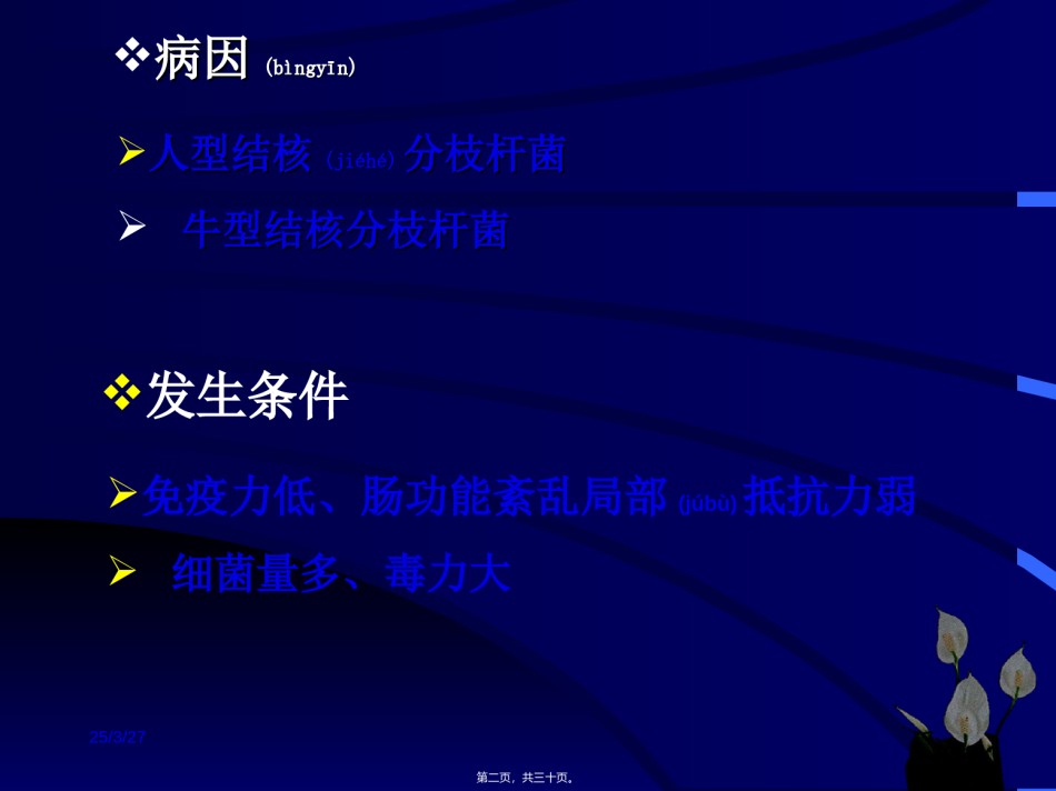 2022年医学专题—肠结核与结核性腹膜炎.ppt_第2页