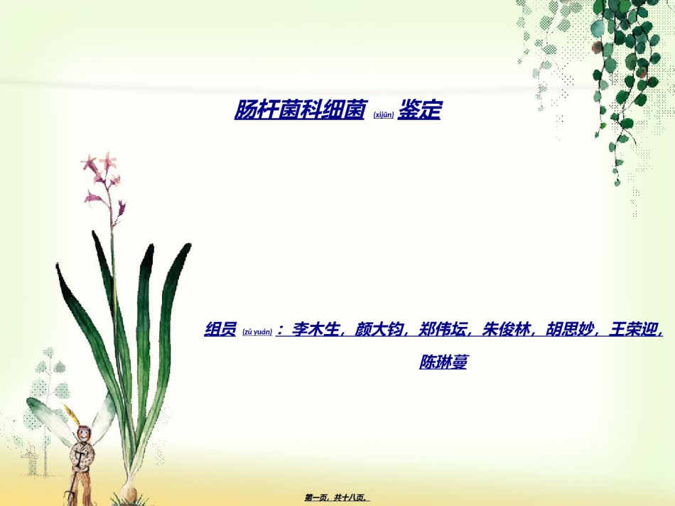 2022年医学专题—肠杆菌科细菌鉴定.ppt_第1页