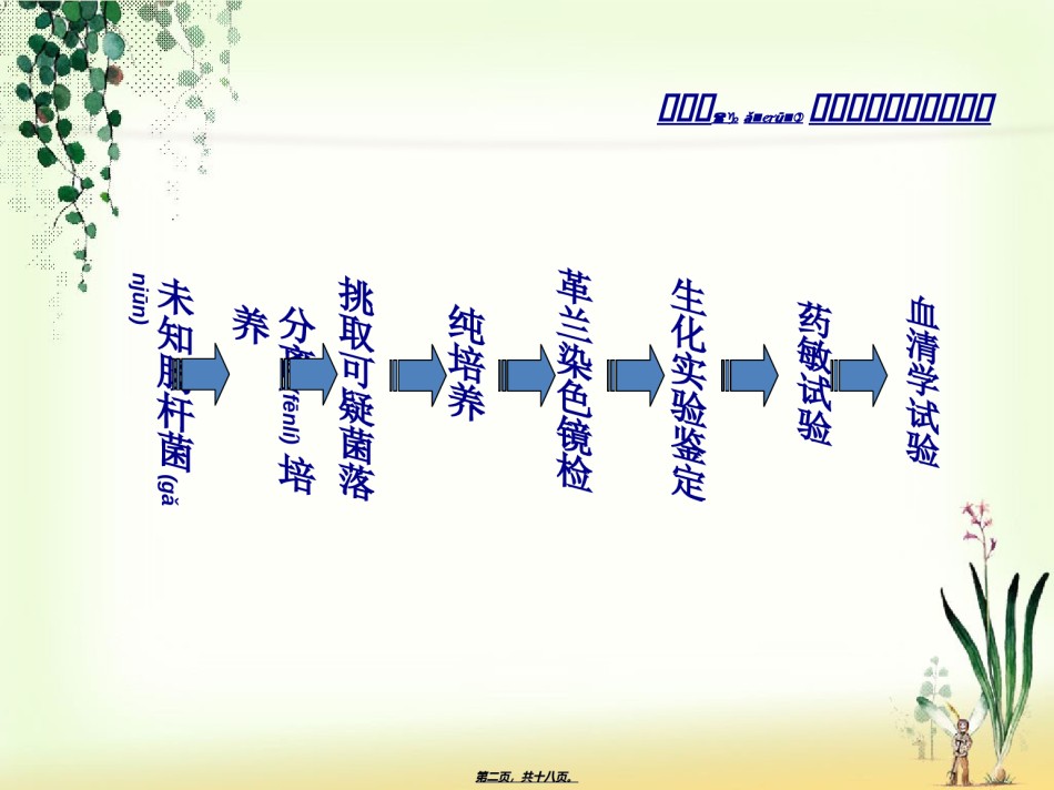 2022年医学专题—肠杆菌科细菌鉴定.ppt_第2页