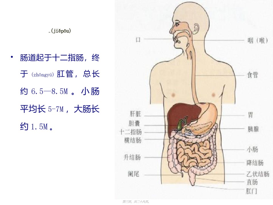 2022年医学专题—肠梗阻lcp143-14.ppt_第3页