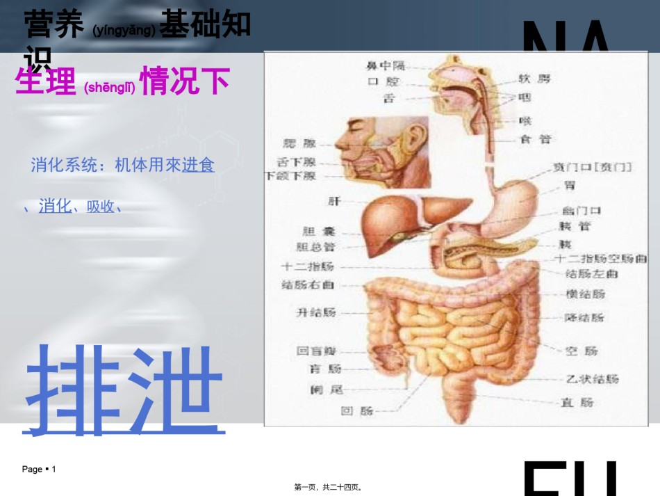 2022年医学专题—肠管(鼻肠管).ppt_第1页
