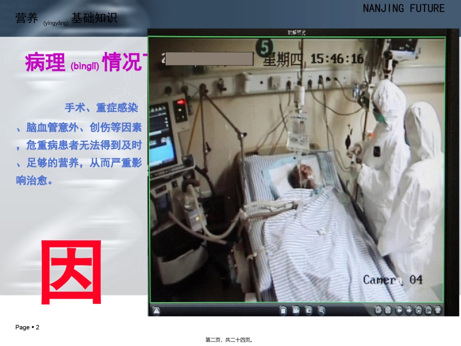 2022年医学专题—肠管(鼻肠管).ppt_第2页