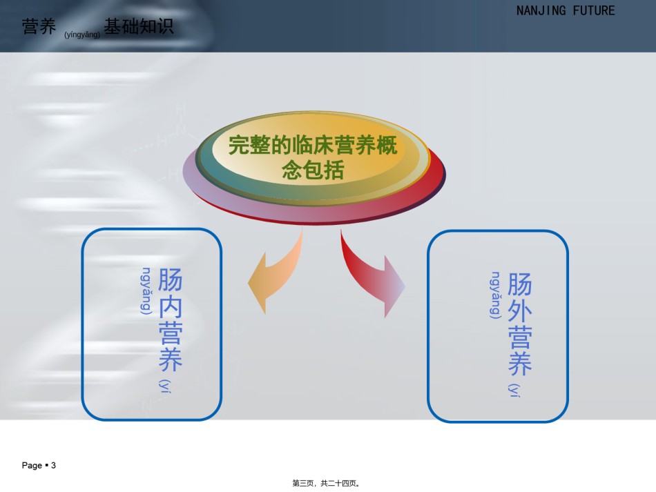 2022年医学专题—肠管(鼻肠管).ppt_第3页