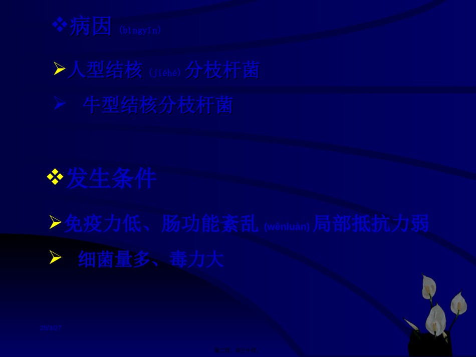 2022年医学专题—肠结核与结核性腹膜炎(7).ppt_第2页