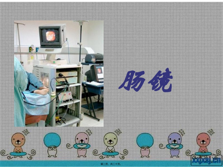2022年医学专题—肠镜胃镜检查宣教.ppt_第2页