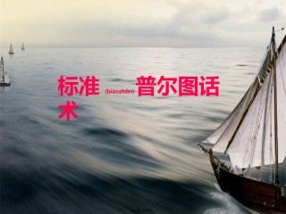 2022年医学专题—标准普尔图话术.pptx