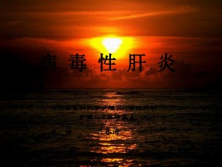 2022年医学专题—病-毒-性-肝-炎.ppt