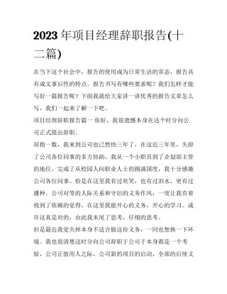 2023年项目经理辞职报告(十二篇)
