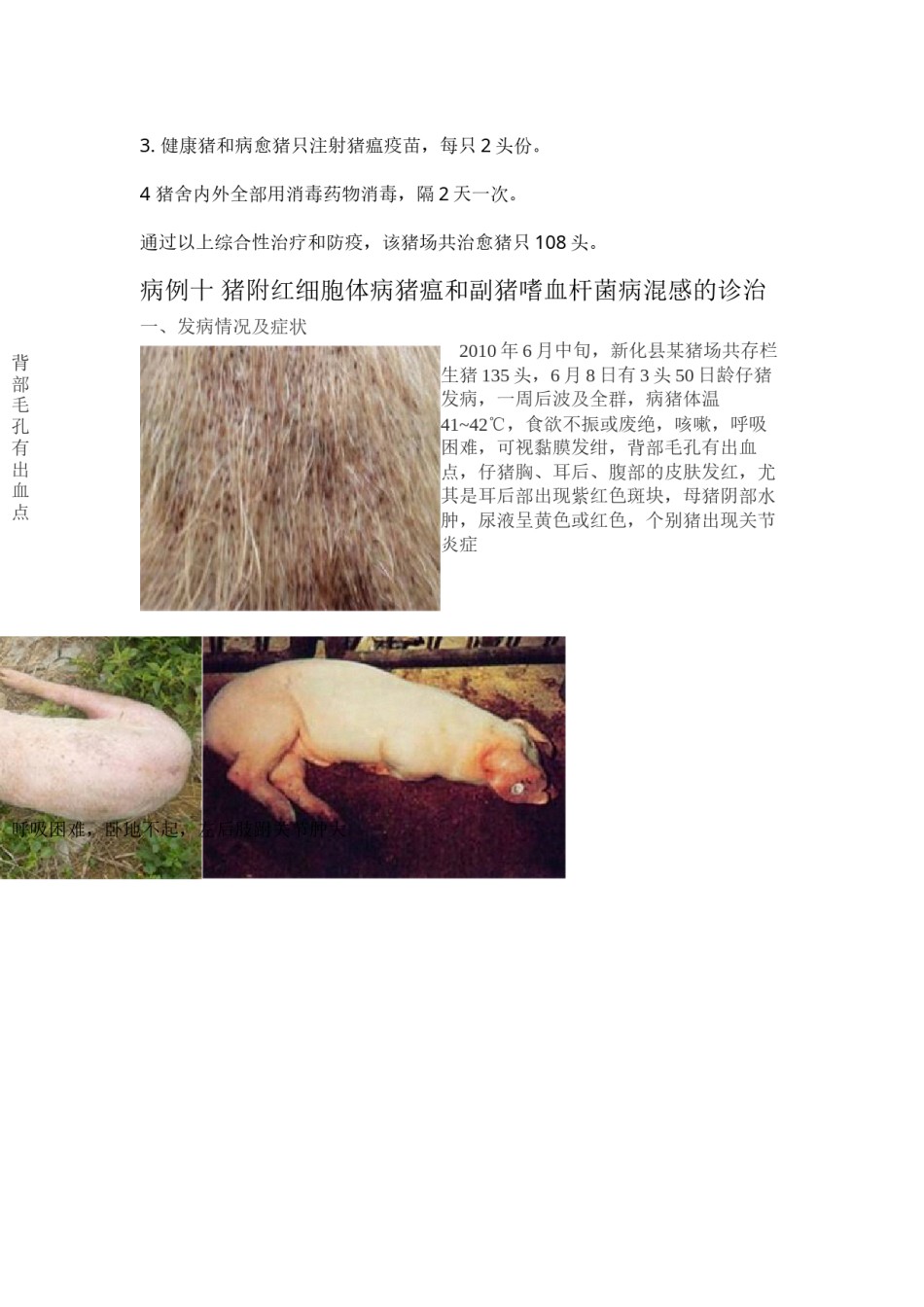 2022年医学专题—病例九---一例猪传染性胸膜肺炎与链球菌病.docx_第2页