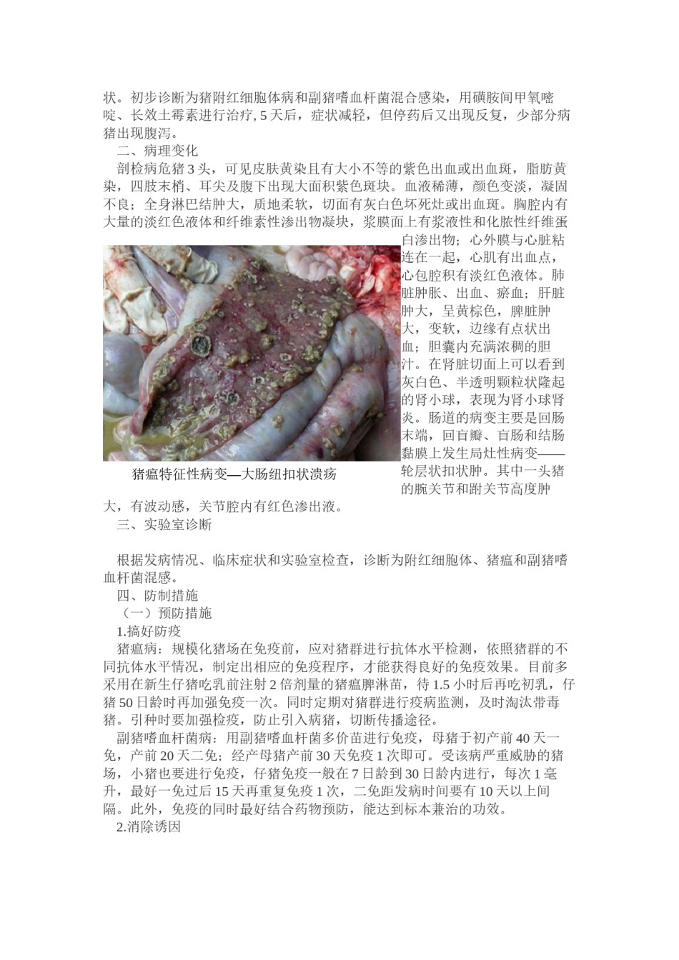 2022年医学专题—病例九---一例猪传染性胸膜肺炎与链球菌病.docx_第3页