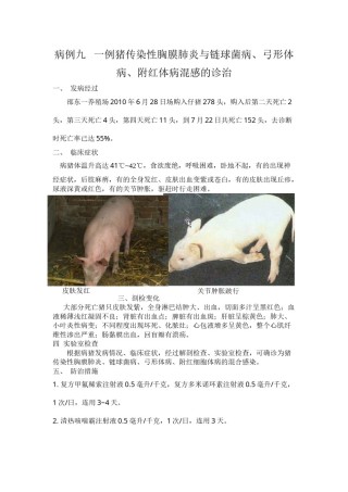 2022年医学专题—病例九---一例猪传染性胸膜肺炎与链球菌病.docx