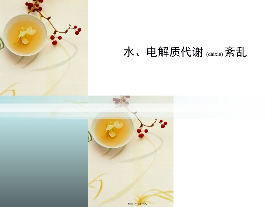 2022年医学专题—病生-3水电解质紊乱(1).ppt_第2页