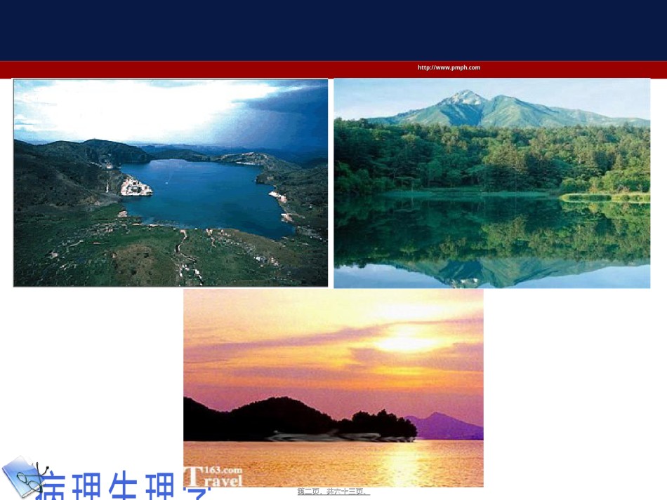 2022年医学专题—病生缺氧.ppt_第2页