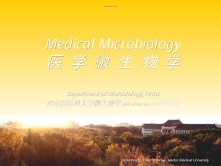 2022年医学专题—病原性真菌.ppt