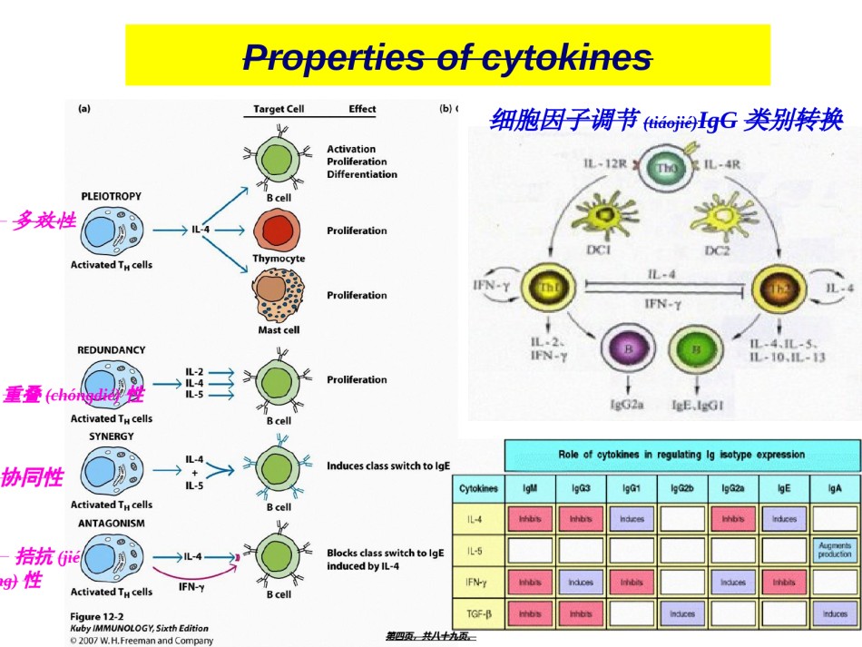 2022年医学专题—博士生课程5(1)-细胞因子.ppt_第3页