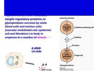2022年医学专题—博士生课程5(1)-细胞因子.ppt