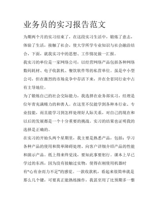 业务员的实习报告范文