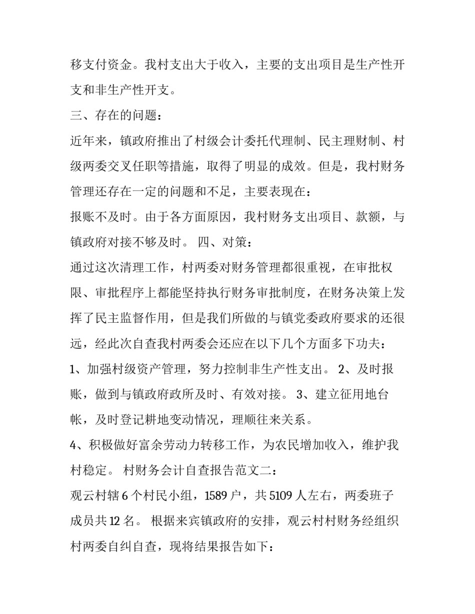村财务会计的自查报告_第3页