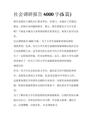 社会调研报告4000字(5篇)