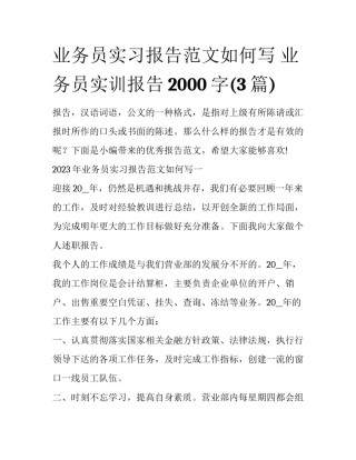 业务员实习报告范文如何写 业务员实训报告2000字(3篇)