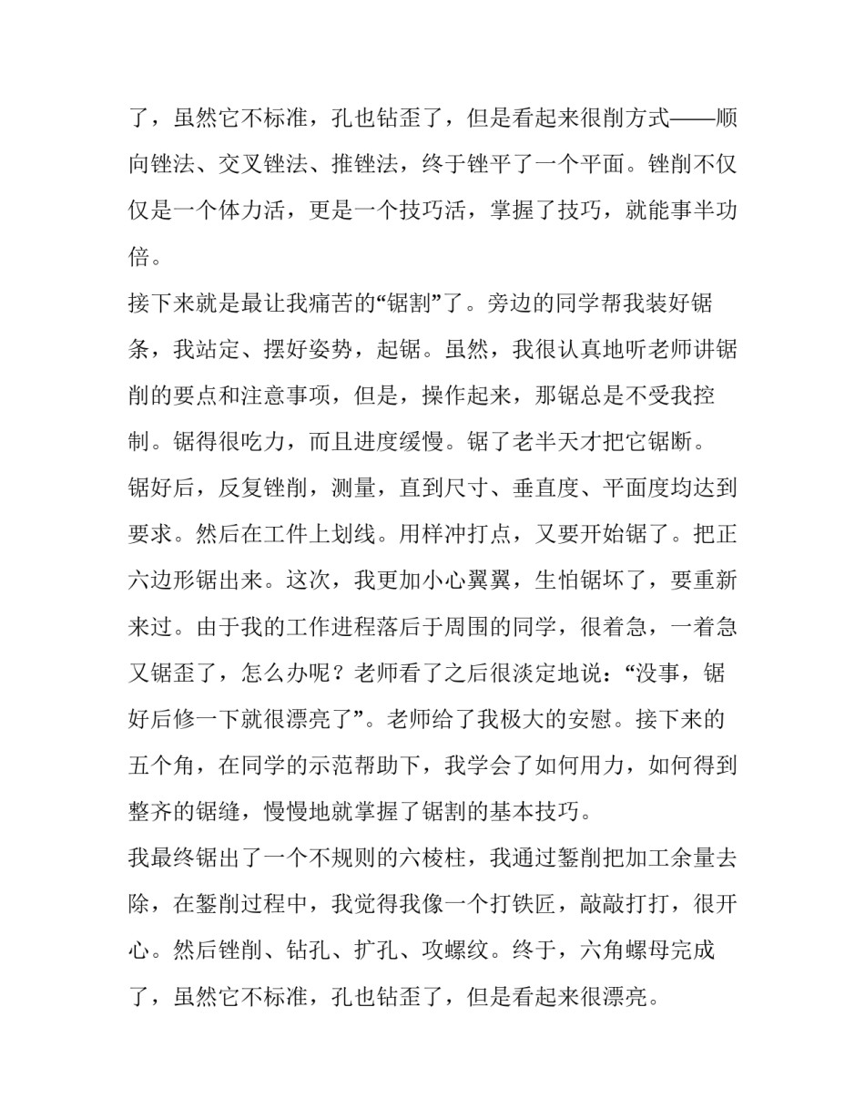 2023年金工钳工实训报告300字(12篇)_第3页