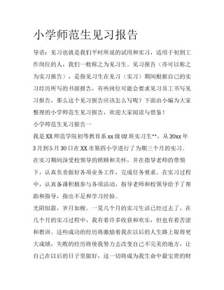 小学师范生见习报告