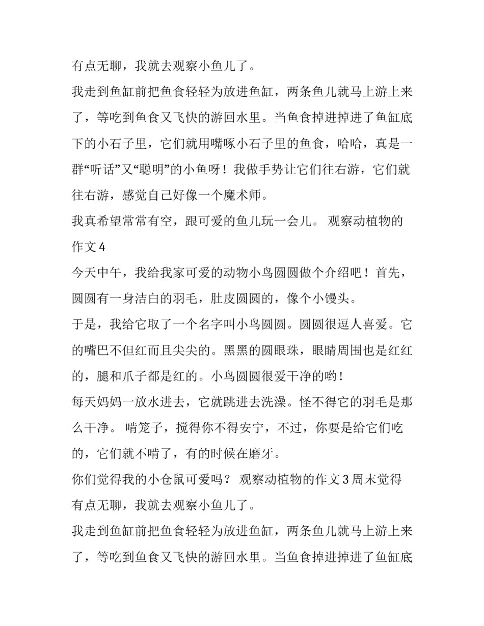 观察动植物的作文100字_第2页