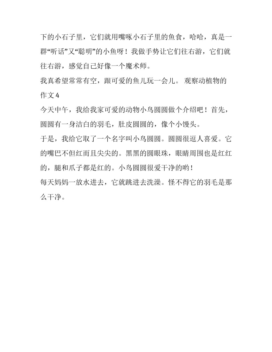 观察动植物的作文100字_第3页