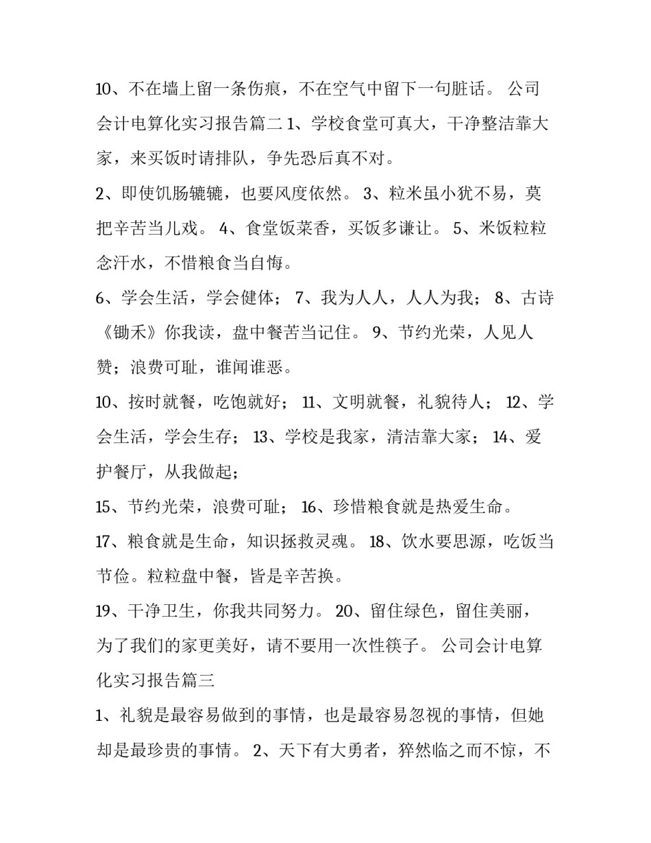 最新公司会计电算化实习报告(通用9篇)_第2页