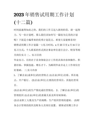 2023年销售试用期工作计划(十二篇)