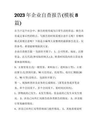 2023年企业自查报告(模板8篇)