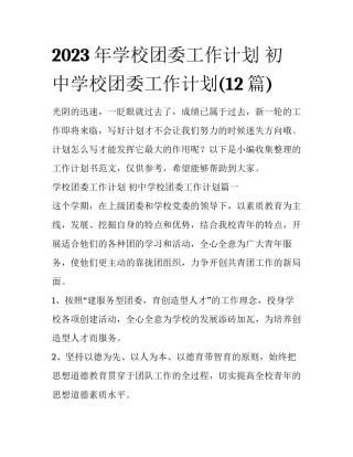 2023年学校团委工作计划 初中学校团委工作计划(12篇)