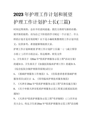 2023年护理工作计划和展望 护理工作计划护士长(三篇)