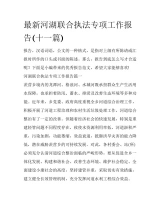 最新河湖联合执法专项工作报告(十一篇)